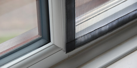 Fly screen shown on a closed window